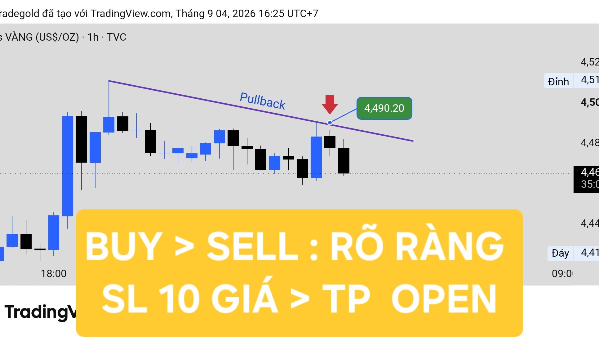 ALY TRADE GOLD