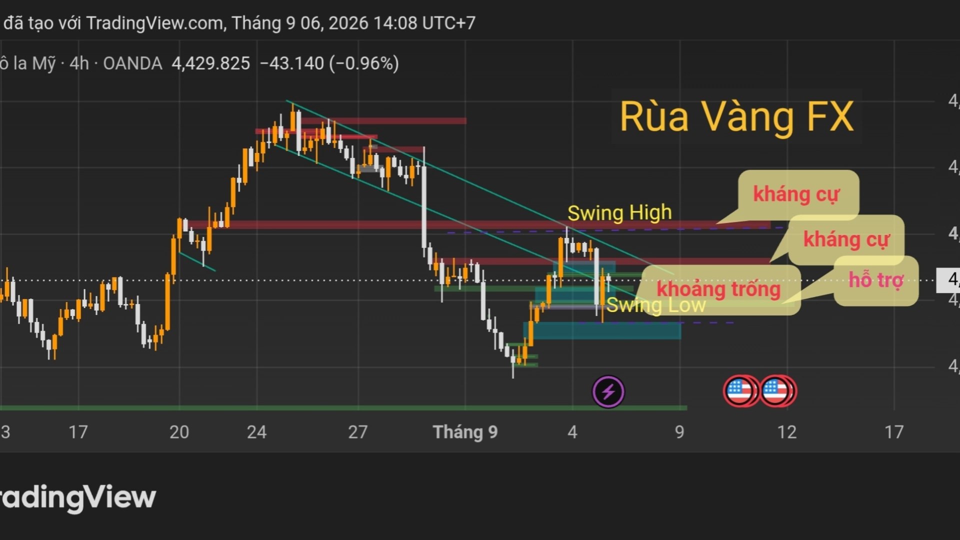 Rùa VÀNG -