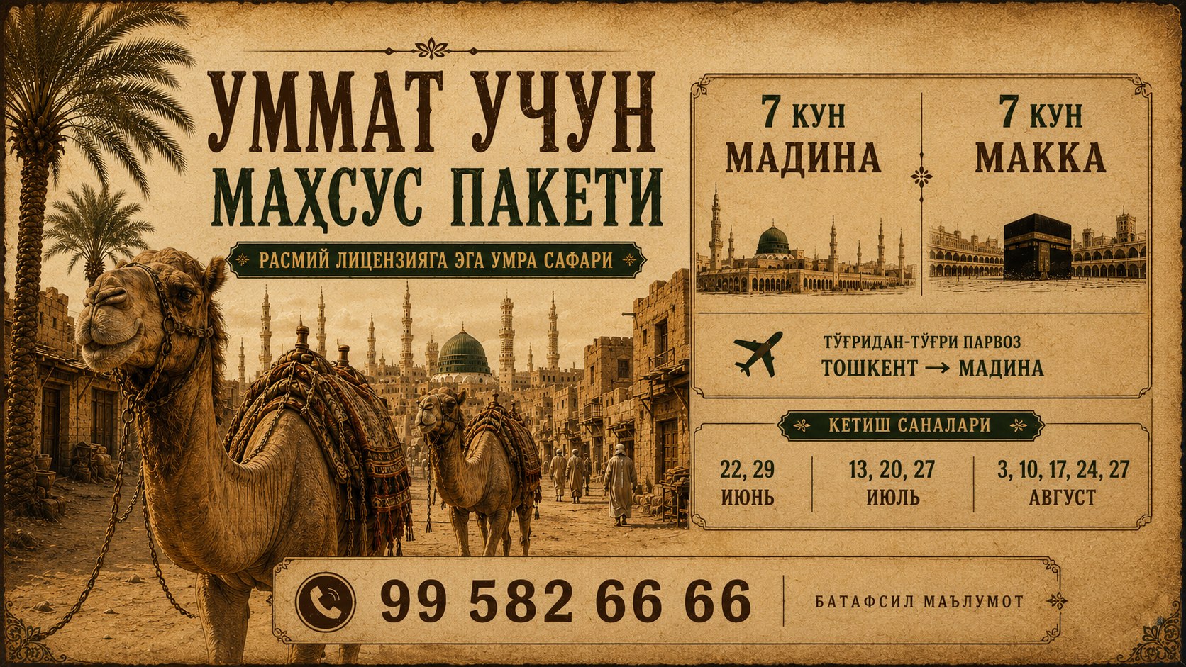 UMMAT UCHUN