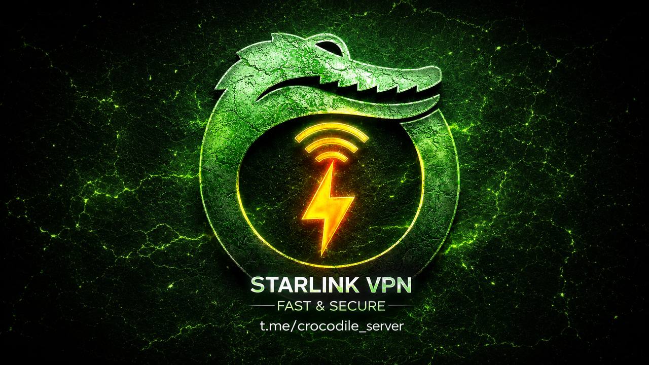 Crocodile Server ️️