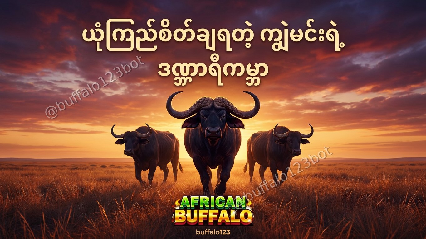ကျွဲဂိမ်း Buffalo123 Official