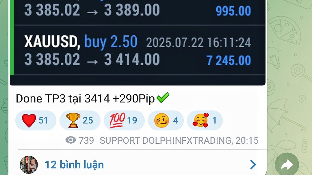 @dolphinfxtrading