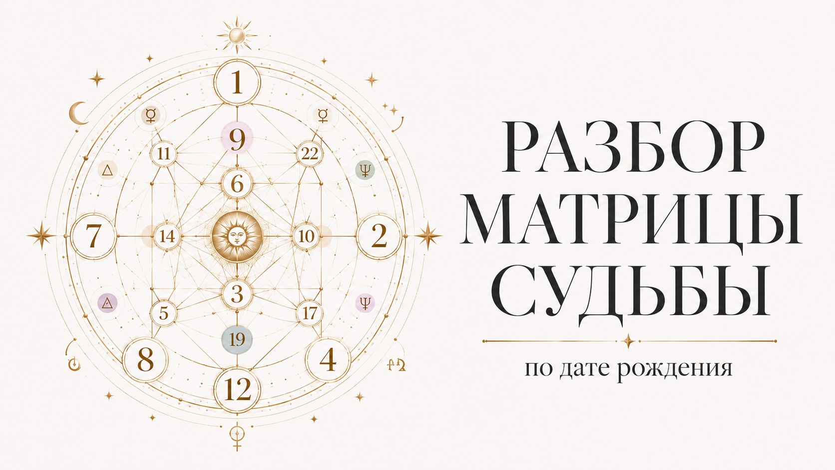 Виола | Архитектор Судьбы