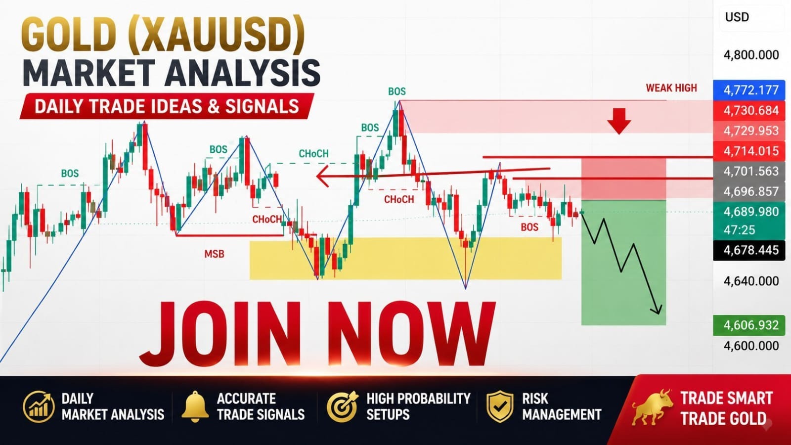 FX GOLD FIRE