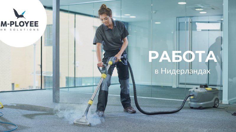 Робота в Нідерландах від M-Ployee 🇳🇱