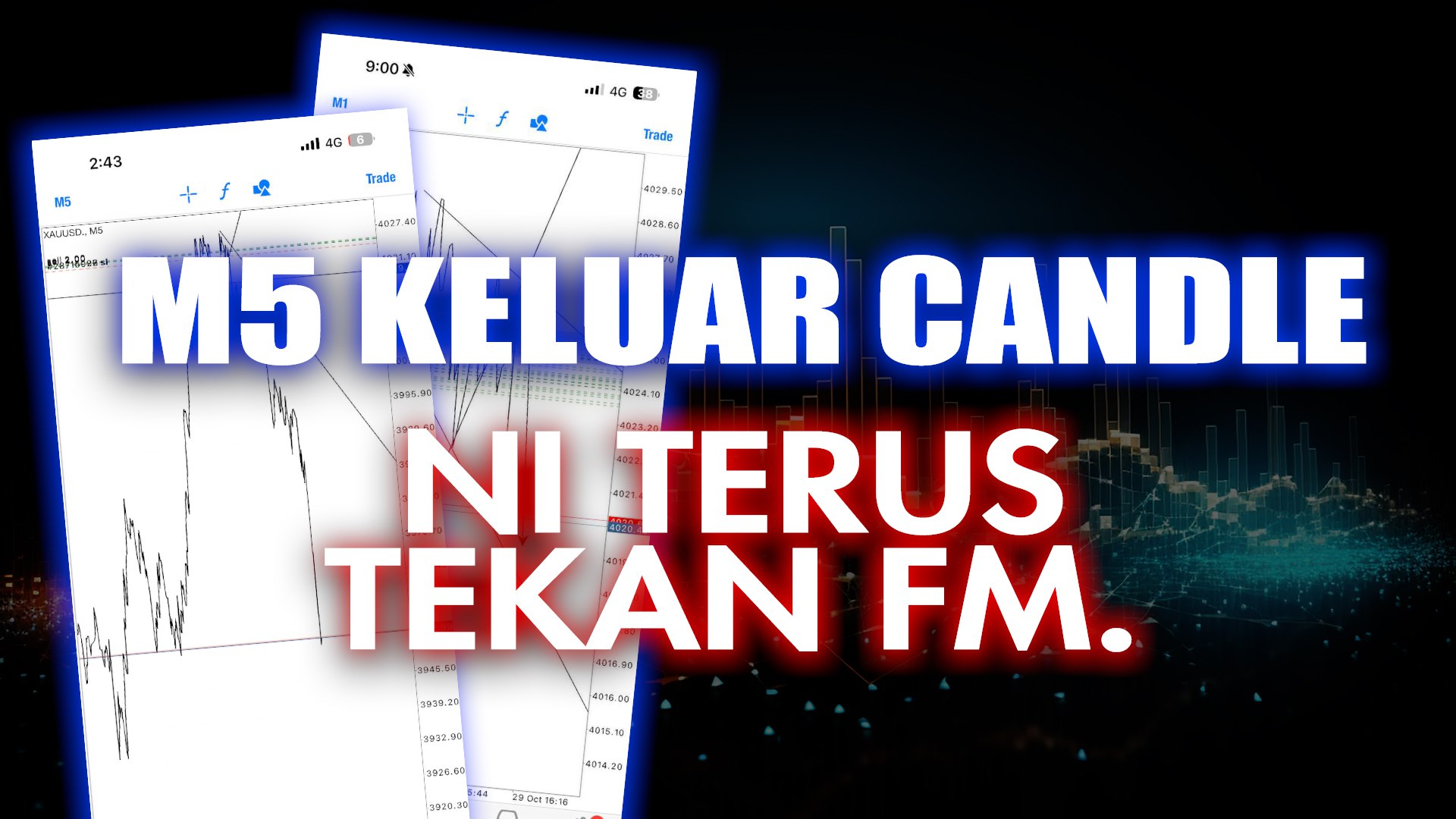 SamSudin Sang Flipper