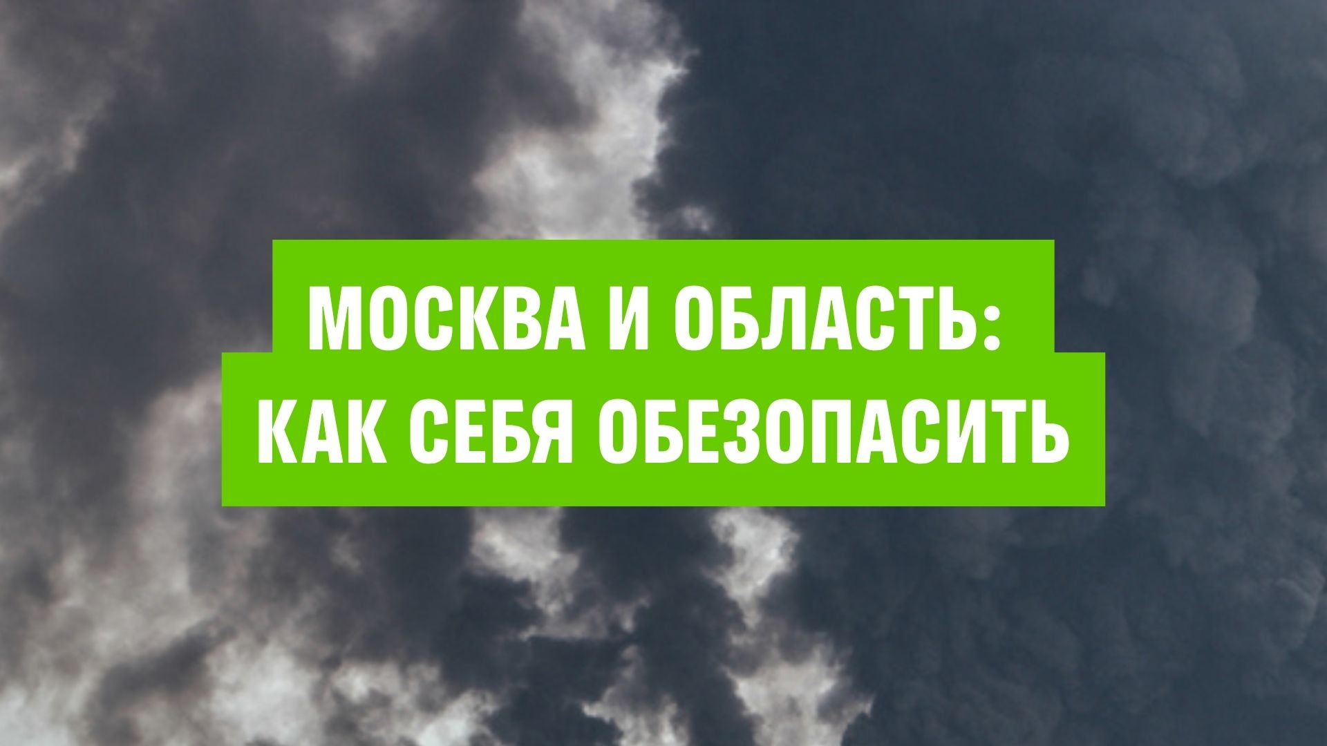 Greenpeace на русском 🌱