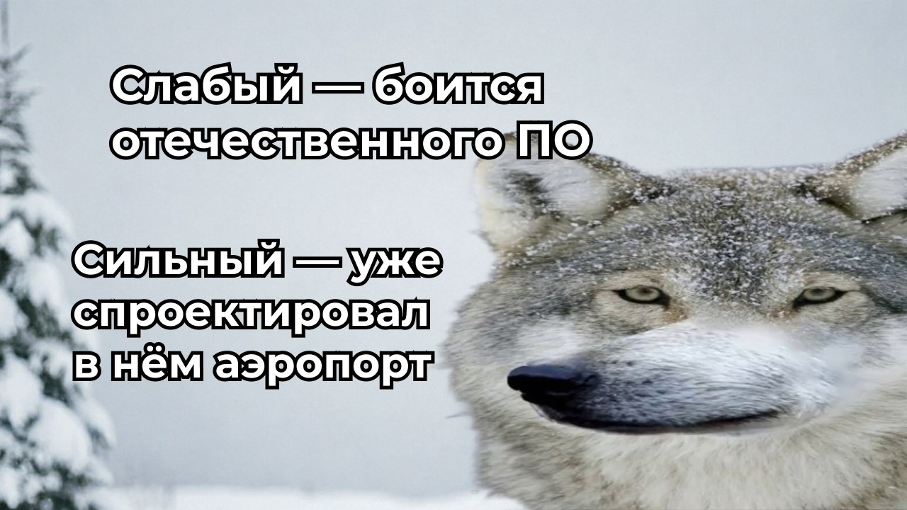 ТИМИтех Санкт-Петербург
