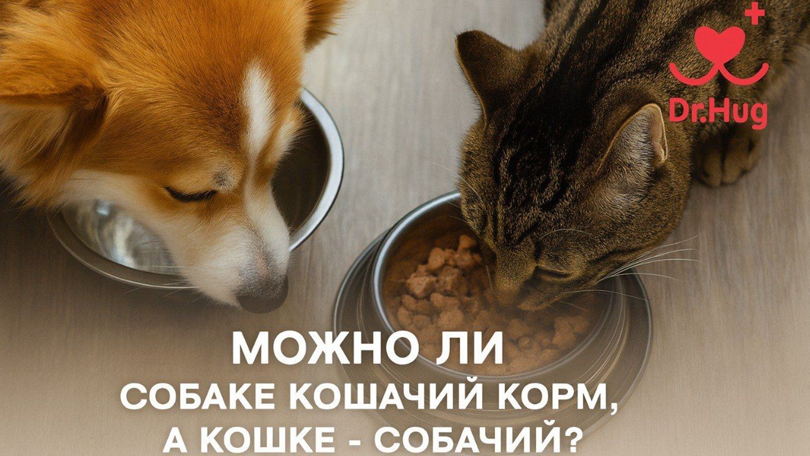Ветеринарные центры Dr.Hug