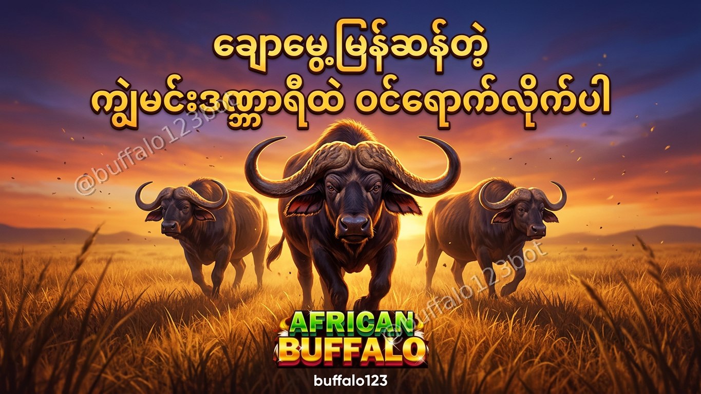 ကျွဲဂိမ်း Buffalo123 Official
