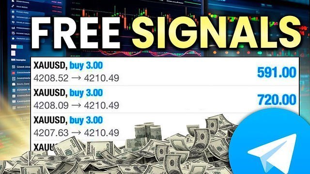 𝐗𝐀𝐔𝐔𝐒𝐃 𝐌𝐀𝐒𝐓𝐄𝐑 💸