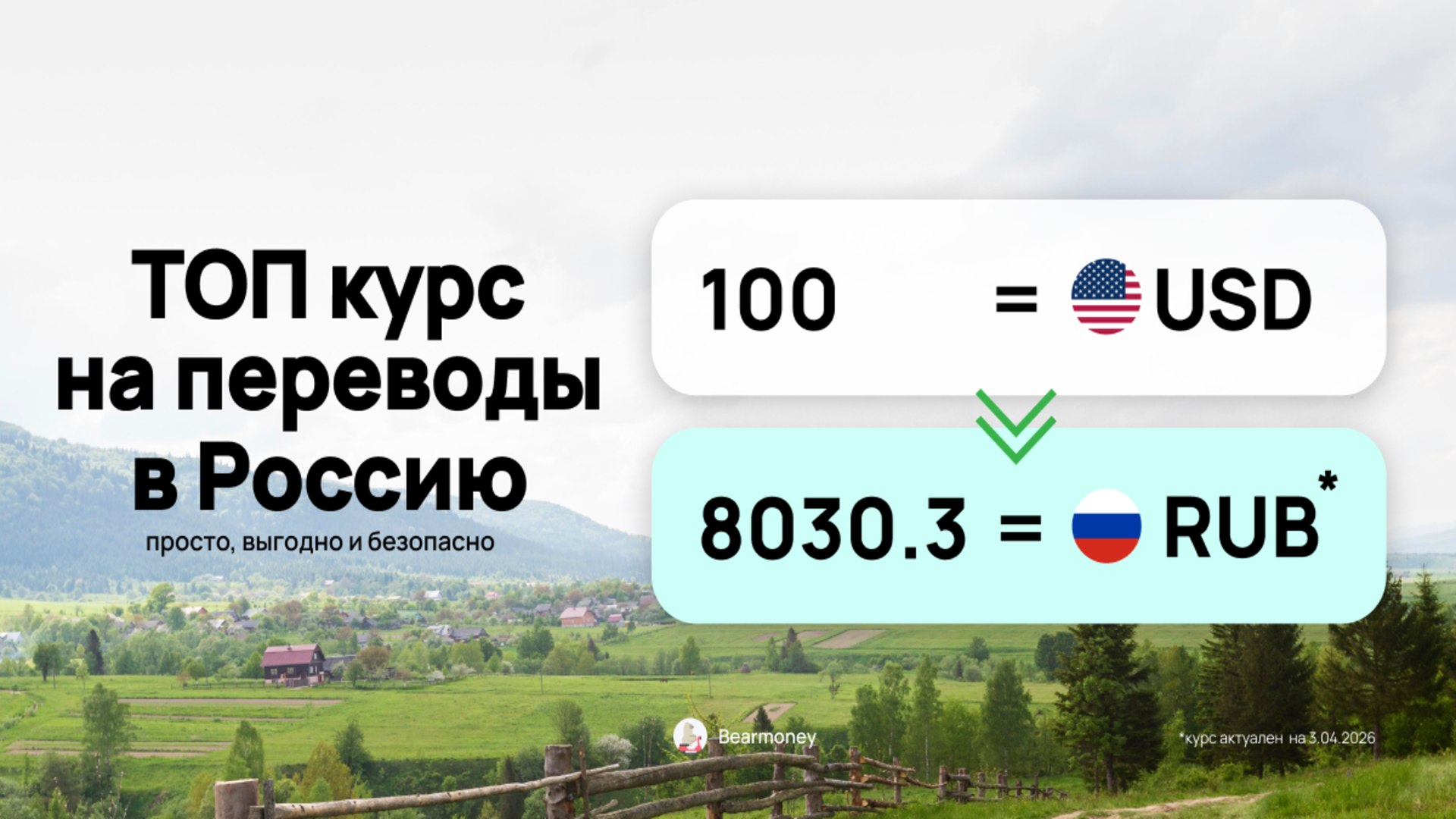 www.bearmoney.io