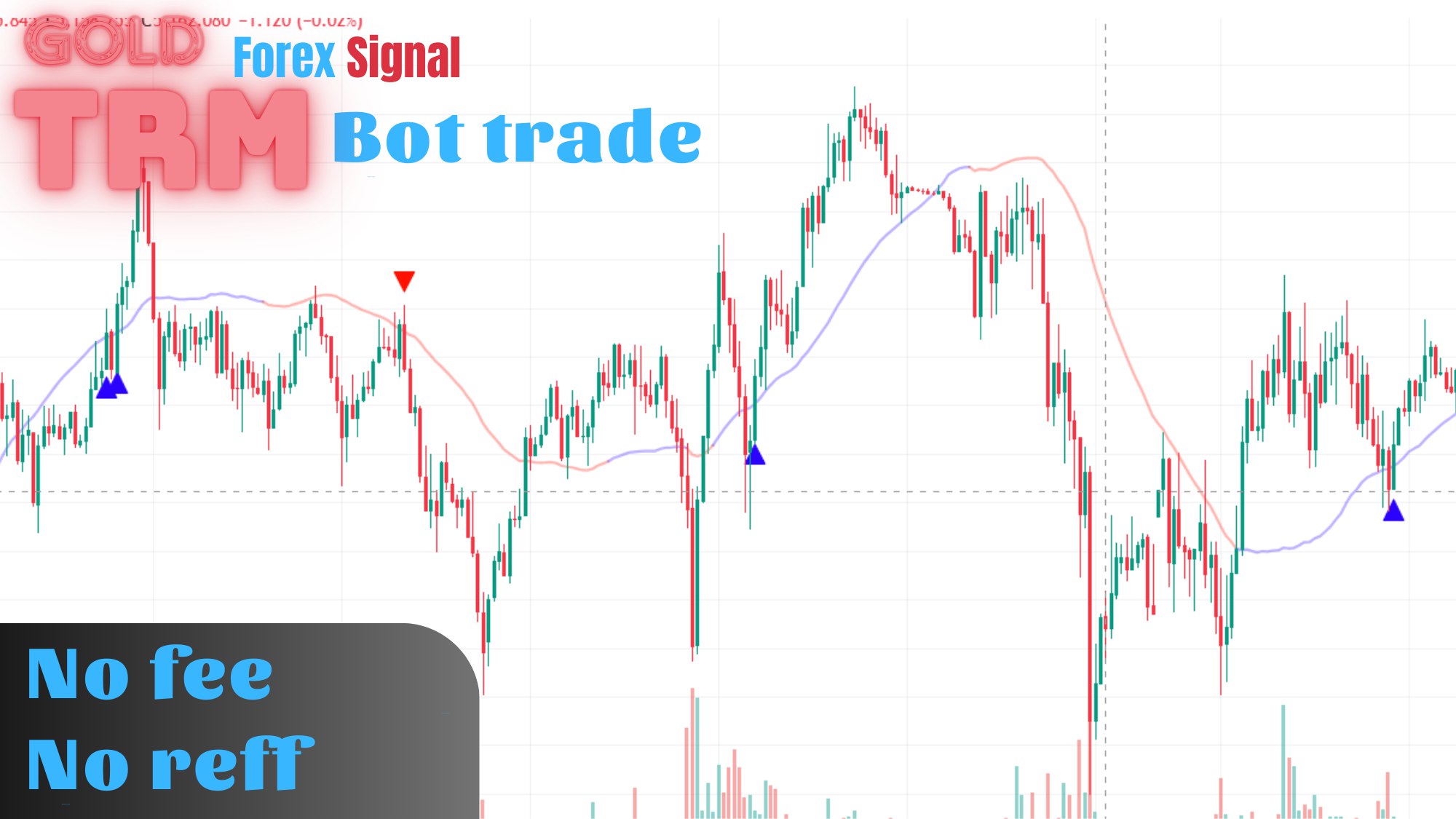 VN — FOREX Station| XAUUSD signal