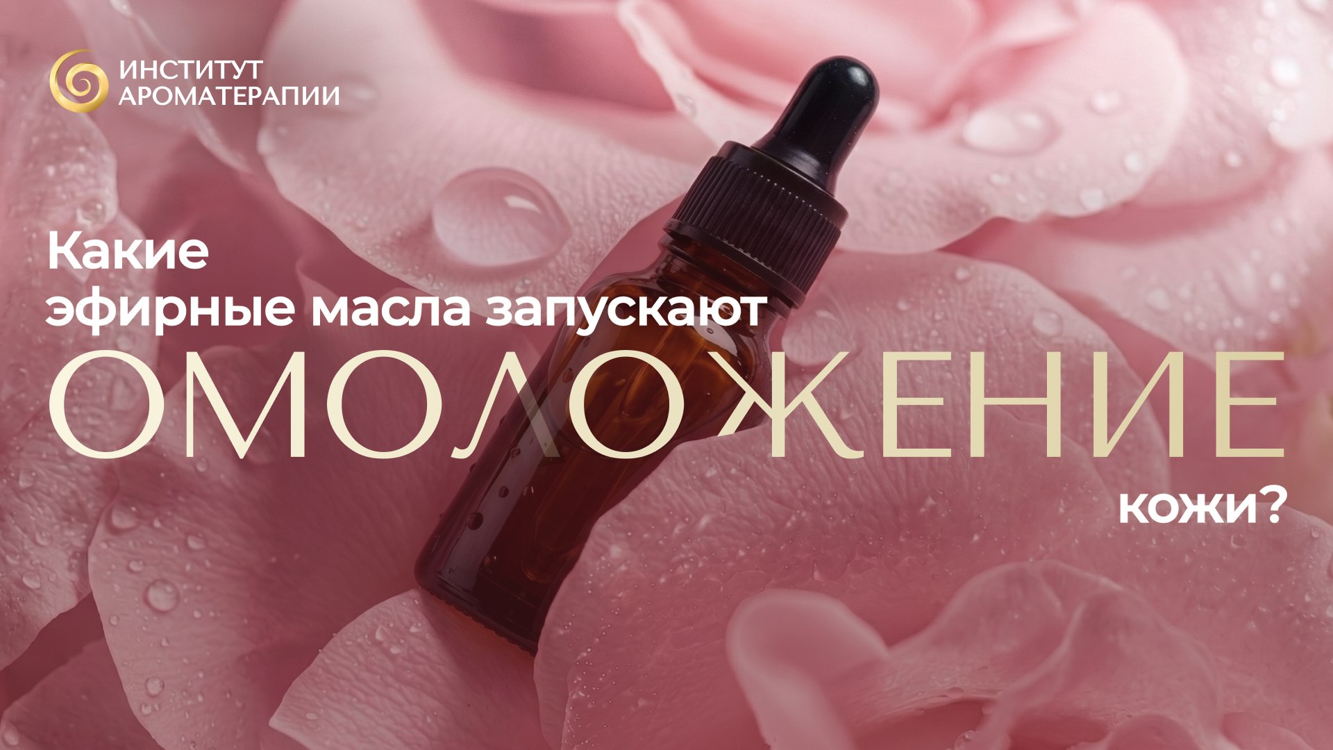 Институт ароматерапии | Париж