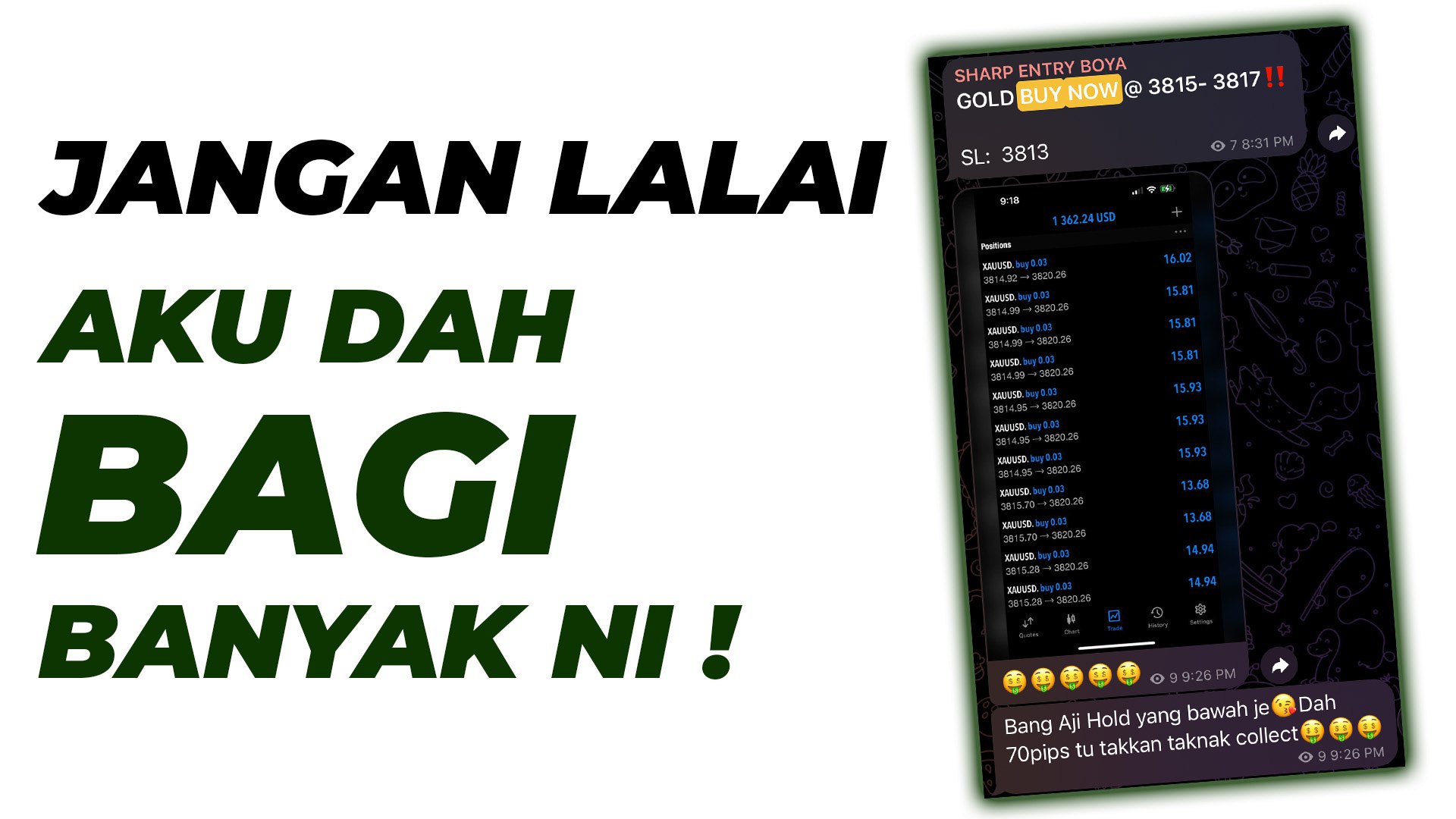 SIGNAL LAYER GILA!!!!