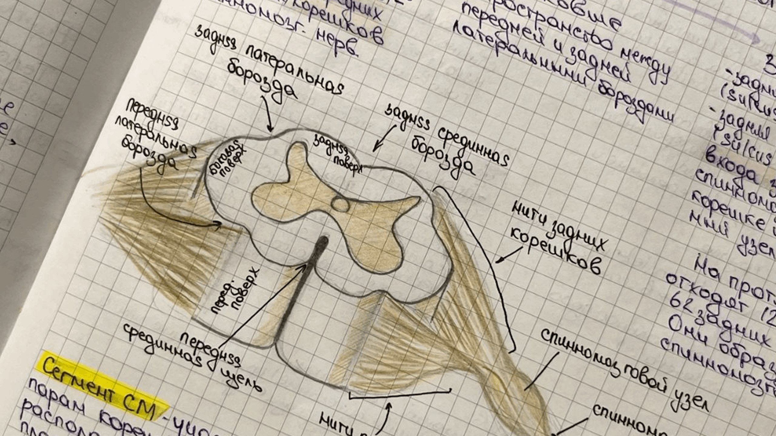 NeoFamily | Биология ЕГЭ-2027 | Андрей и Нурлан