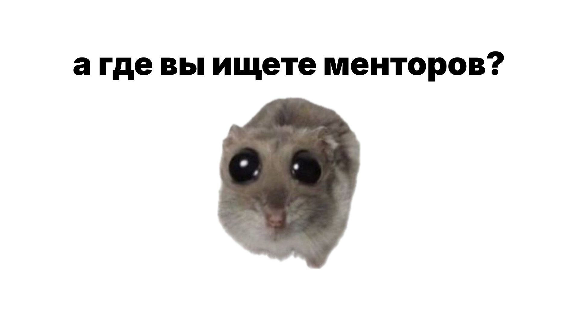 Аксинья и мысли | аналитика · продукт · AI