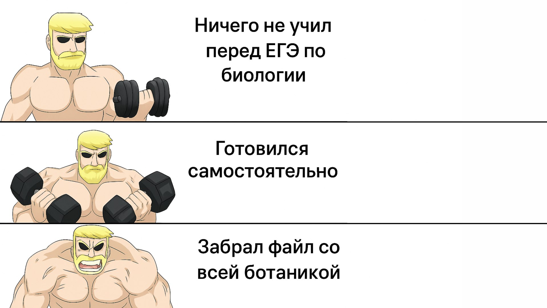 Биология ОГЭ, ЕГЭ, 10 класс | Умскул