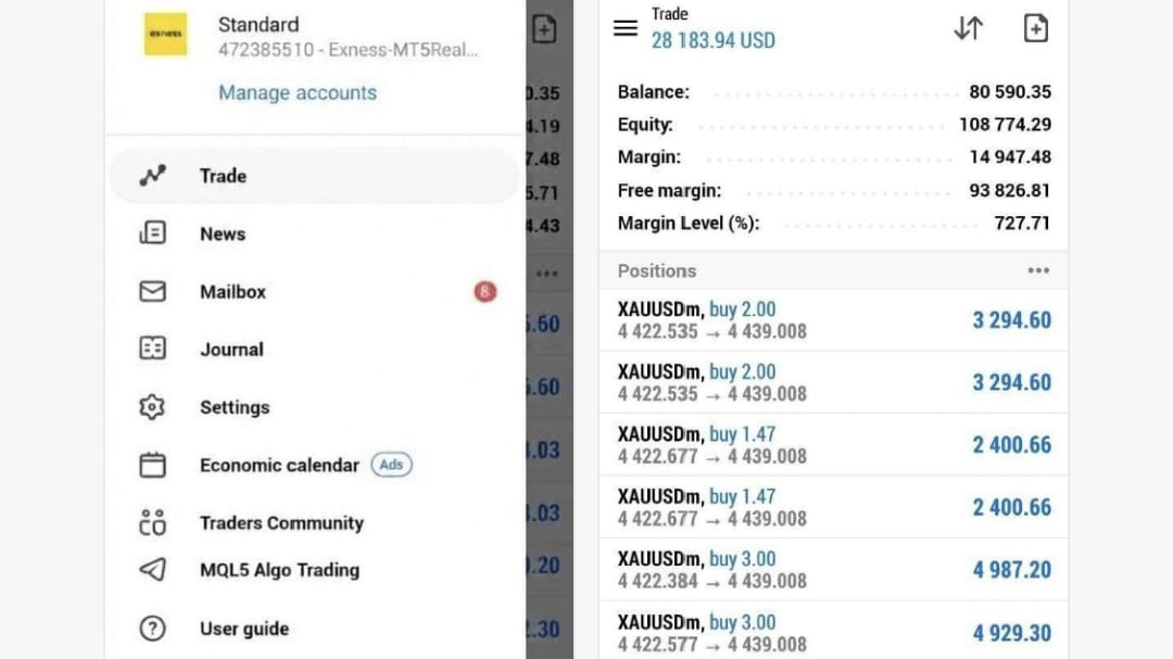 THE FOREX KING