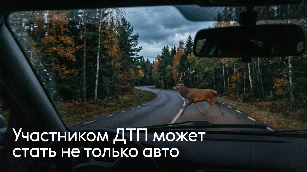 Застраховано в Ренессанс