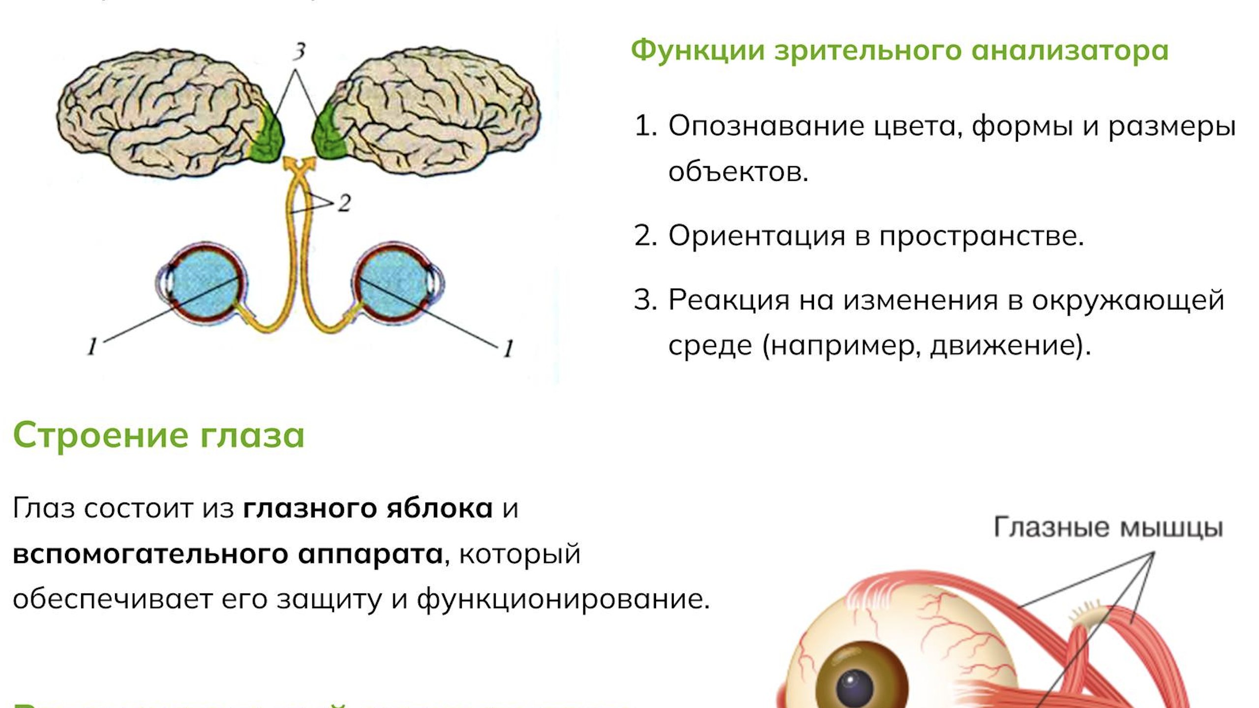 NeoFamily | Биология ЕГЭ-2027 | Андрей и Нурлан
