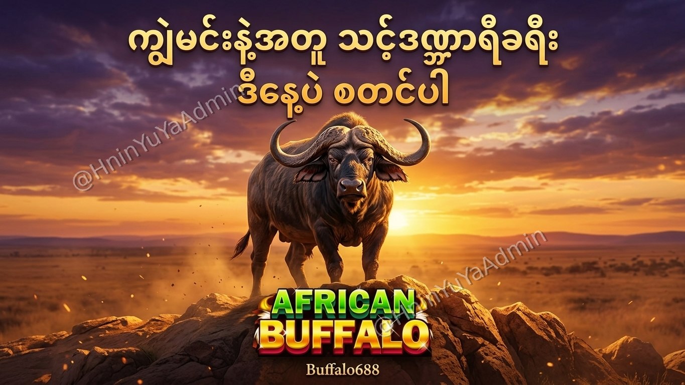 ကျွဲဂိမ်းအစစ် Buffalo688 ၊ကျွဲဘုရင် ၊ရှမ်းကိုးမီး၊ဘူကြီး