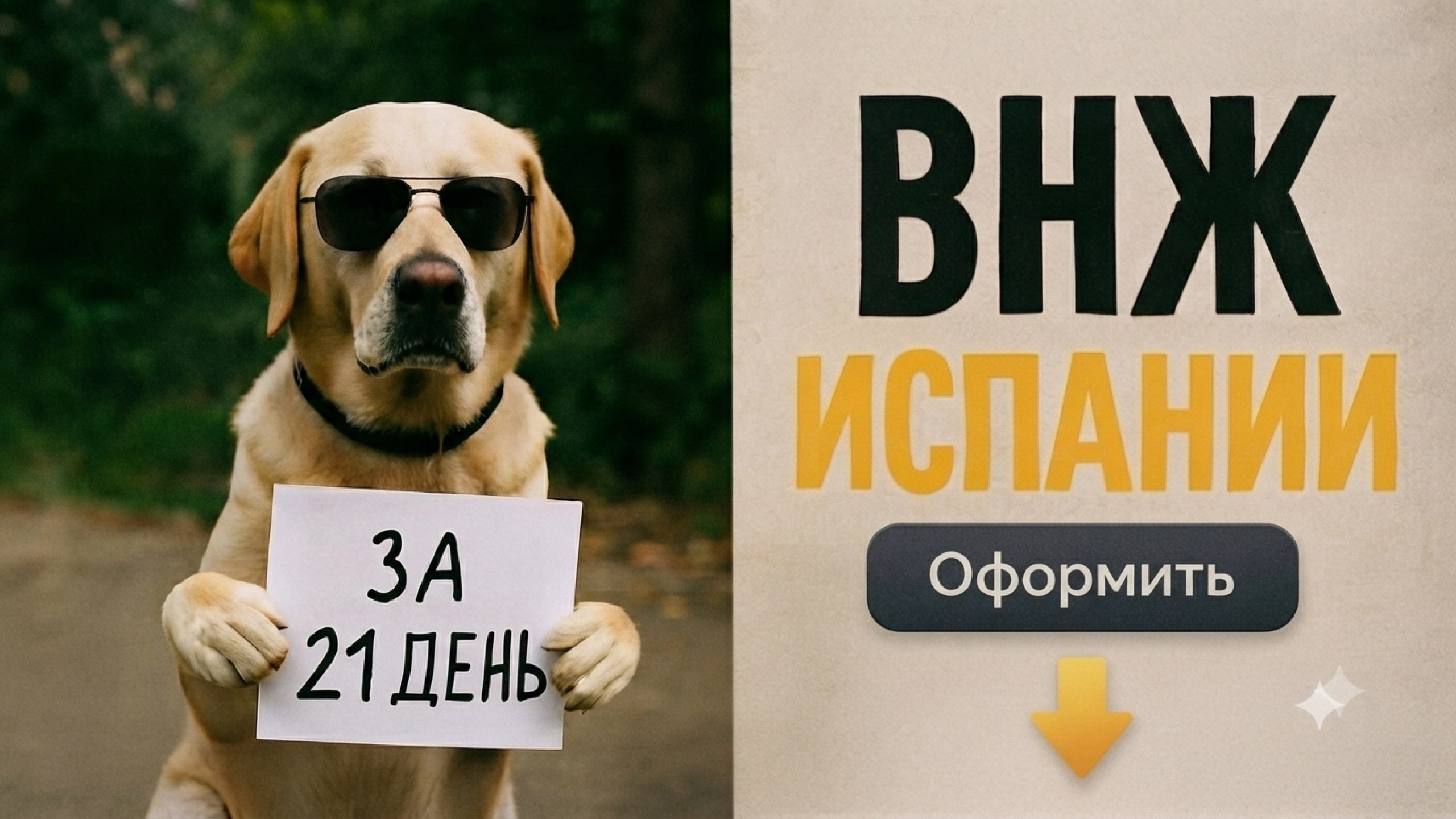 Визовый центр Без границ