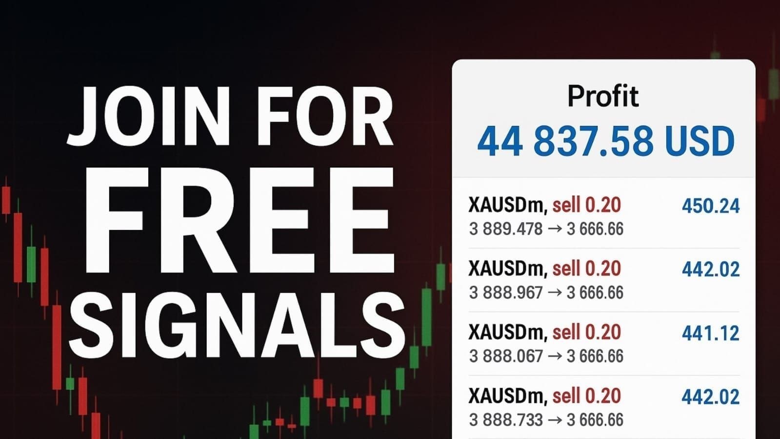 FXTradingKing - FREE SIGNALS 📊