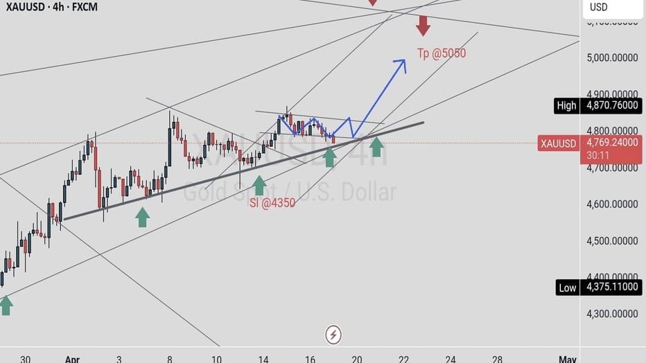 FOREX TRADING CLUB