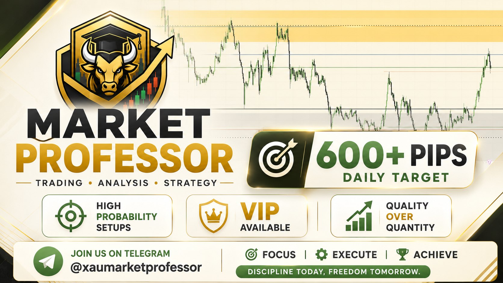 Market Professor