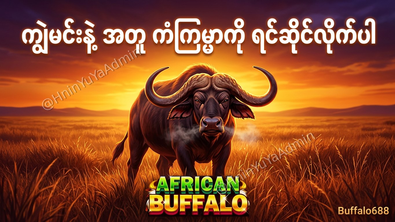ကျွဲဂိမ်းအစစ် Buffalo688 ၊ကျွဲဘုရင် ၊ရှမ်းကိုးမီး၊ဘူကြီး