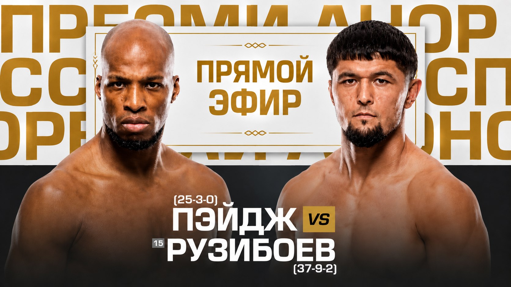 UFC LIVE 296