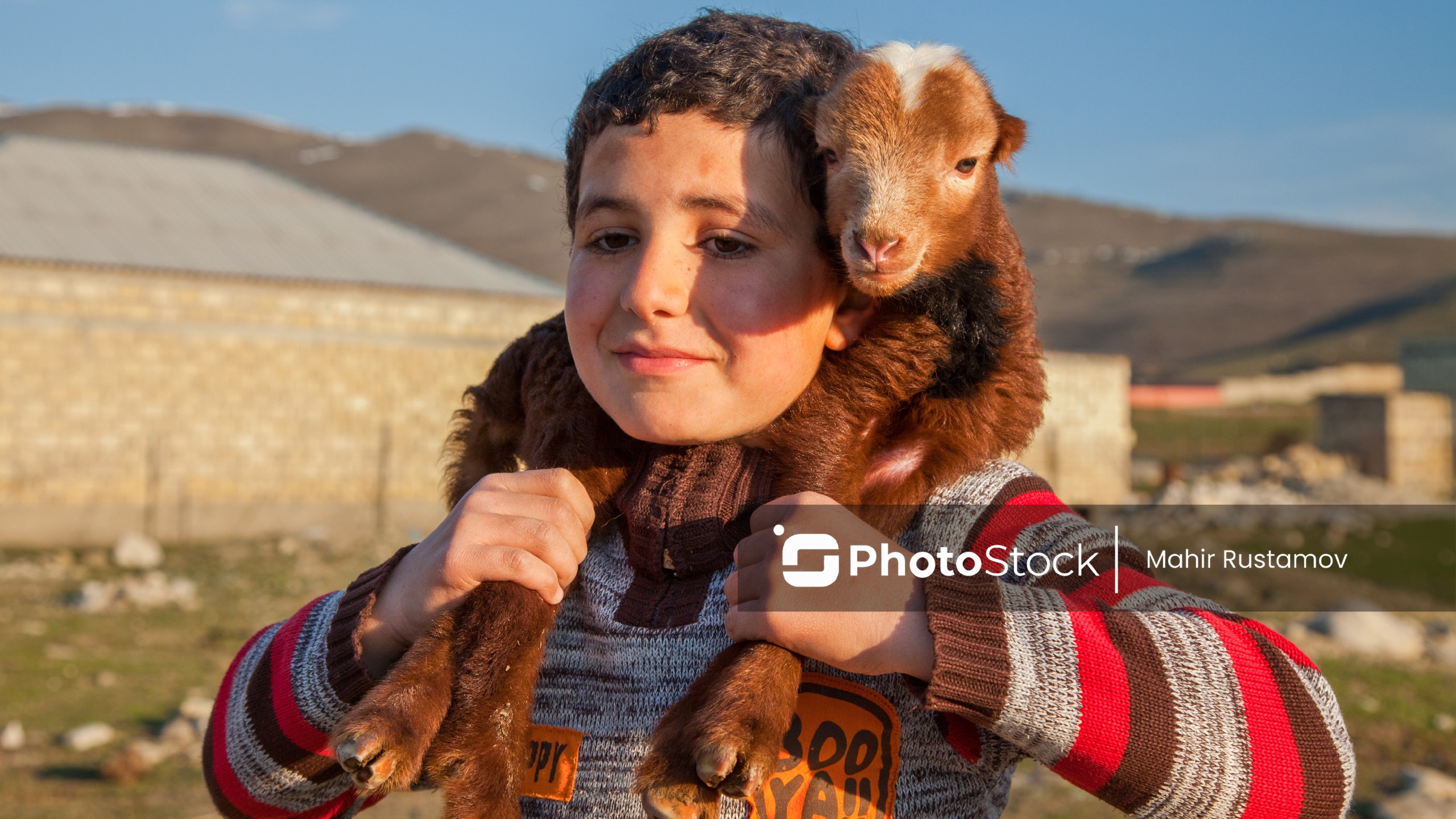 Photo Stock