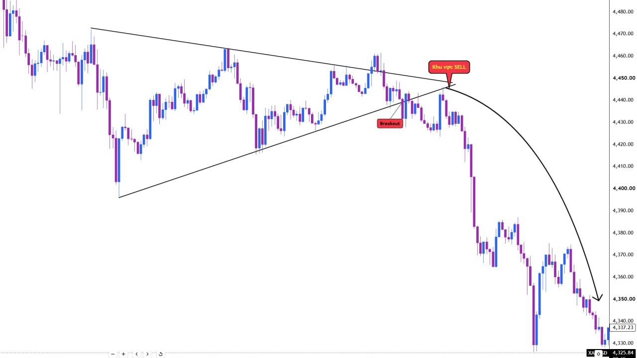VN Forex Team
